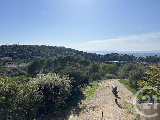 terrain à vendre - 1081.0 m2 - NICE - 06 - PROVENCE-ALPES-COTE-D-AZUR - Century 21 Lafage Transactions
