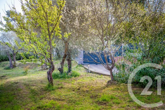 maison à vendre - 6 pièces - 221.0 m2 - CONTES - 06 - PROVENCE-ALPES-COTE-D-AZUR - Century 21 Lafage Transactions