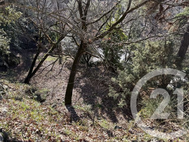 terrain à vendre - 1500.0 m2 - ASPREMONT - 06 - PROVENCE-ALPES-COTE-D-AZUR - Century 21 Lafage Transactions