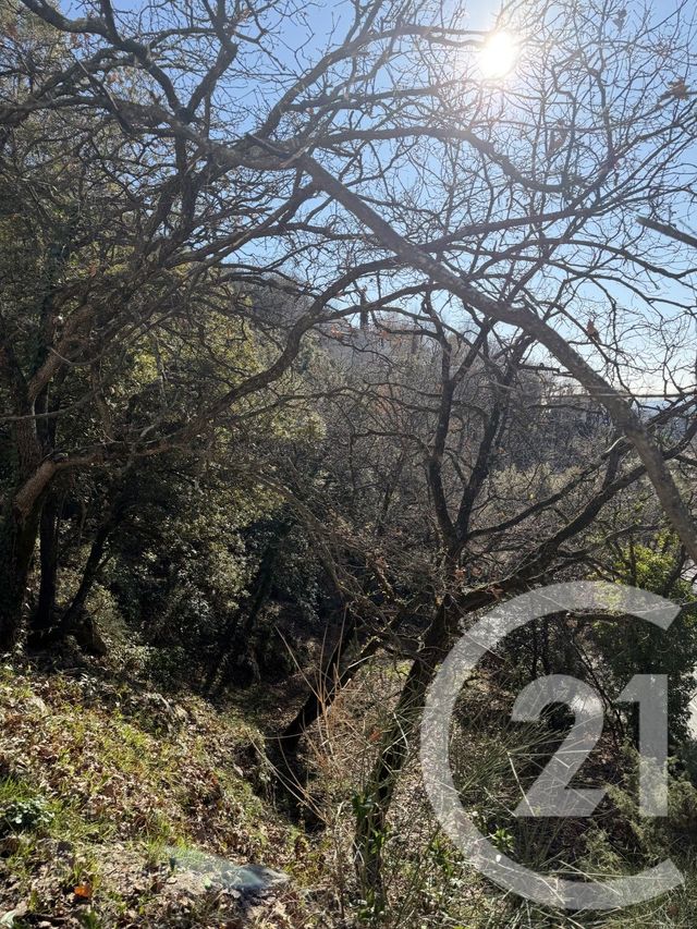 terrain à vendre - 1500.0 m2 - ASPREMONT - 06 - PROVENCE-ALPES-COTE-D-AZUR - Century 21 Lafage Transactions
