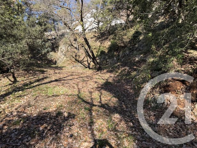 terrain à vendre - 1500.0 m2 - ASPREMONT - 06 - PROVENCE-ALPES-COTE-D-AZUR - Century 21 Lafage Transactions