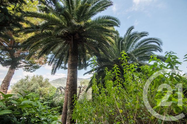 Appartement à vendre - 3 pièces - 74.89 m2 - NICE - 06 - PROVENCE-ALPES-COTE-D-AZUR - Century 21 Lafage Transactions